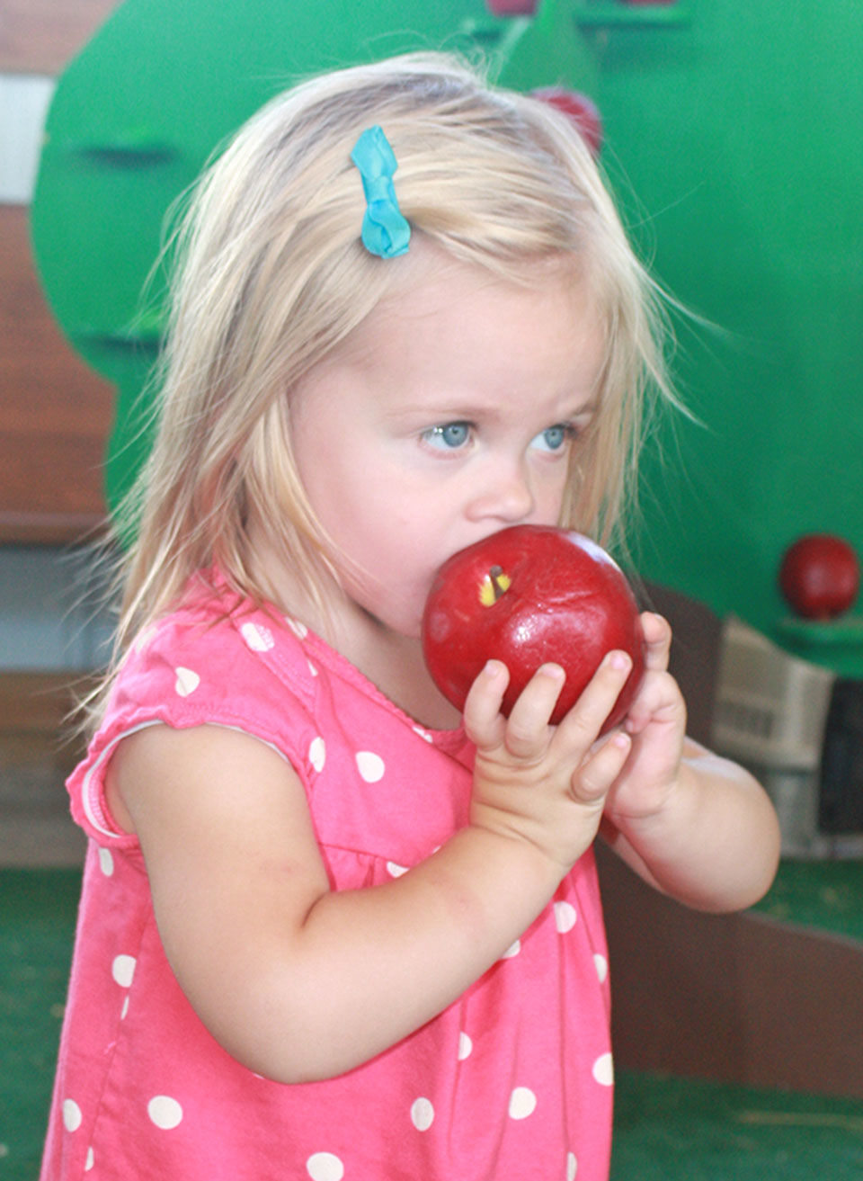Ten years of promoting farming at the Morrison County Fair’s Ag Learning Center
